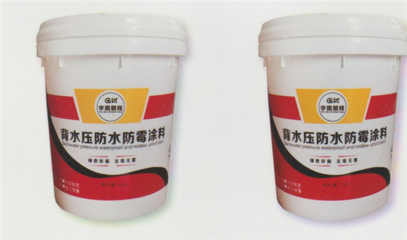 嘉峪關背水壓防水涂料 守護建筑的堅韌之盾